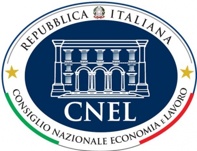 Audizione CNEL