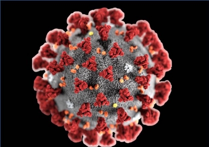 Coronavirus: richiesta di trasparenza alle istituzioni